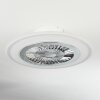 Terradura ceiling fan LED chrome, white, 1-light source, Remote control