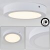 Leto outdoor ceiling light LED white, 1-light source