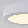 Leto outdoor ceiling light LED white, 1-light source