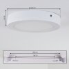 Leto outdoor ceiling light LED white, 1-light source