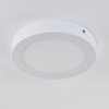 Leto outdoor ceiling light LED white, 1-light source