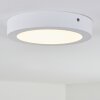 Leto outdoor ceiling light LED white, 1-light source