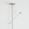 Florida Floor Lamp LED matt nickel, 2-light sources