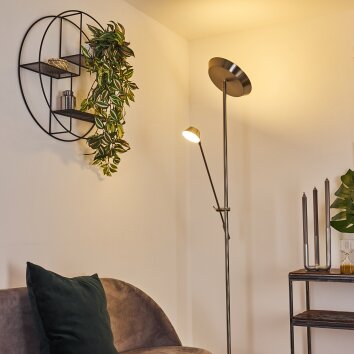 Florida Floor Lamp LED matt nickel, 2-light sources