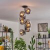 Gastor Ceiling Light - glass 15 cm clear, Smoke-coloured, 8-light sources