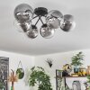 Chehalis Ceiling Light - glass 15 cm clear, Smoke-coloured, 6-light sources