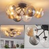 Chehalis Ceiling Light - glass 10 cm, 12 cm, 15 cm Amber, clear, Smoke-coloured, 6-light sources