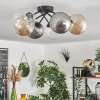 Chehalis Ceiling Light - glass 10 cm, 12 cm, 15 cm Amber, clear, Smoke-coloured, 6-light sources