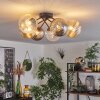 Chehalis Ceiling Light - glass 10 cm, 12 cm, 15 cm Amber, clear, Smoke-coloured, 6-light sources