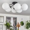 Chehalis Ceiling Light - glass 15 cm white, 6-light sources