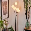 Bernado Floor Lamp - glass 10 cm white, 5-light sources