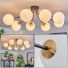 Chehalis Ceiling Light - glass 15 cm gold, black, 8-light sources
