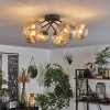 Chehalis Ceiling Light - glass 12 cm, 15cm Smoke-coloured, 6-light sources
