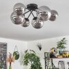 Chehalis Ceiling Light - glass 12 cm, 15cm Smoke-coloured, 6-light sources