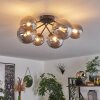 Chehalis Ceiling Light - glass 12 cm, 15cm Smoke-coloured, 6-light sources