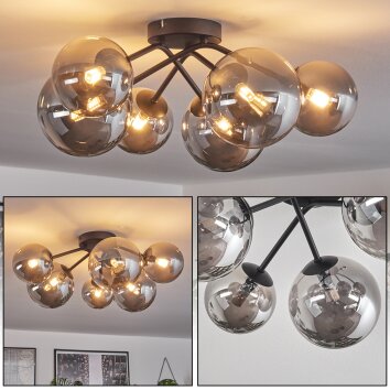 Chehalis Ceiling Light - glass 12 cm, 15cm Smoke-coloured, 6-light sources