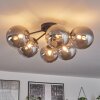 Chehalis Ceiling Light - glass 15 cm Smoke-coloured, 6-light sources