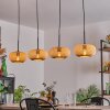 Ripoll Pendant Light - glass 25 cm Ecru, 4-light sources