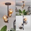 Chehalis Ceiling Light - glass 10 cm Amber, Smoke-coloured, 4-light sources
