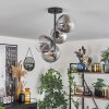 Gastor Ceiling Light - glass 15 cm clear, Smoke-coloured, 4-light sources