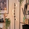 Remaisnil Floor Lamp - glass 15 cm clear, 6-light sources