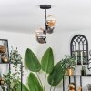 Chehalis Ceiling Light - glass 12 cm Amber, Smoke-coloured, 4-light sources