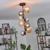 Chehalis Ceiling Light - glass 10 cm, 12 cm, 15 cm Amber, clear, Smoke-coloured, 8-light sources