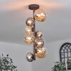 Chehalis Ceiling Light - glass 10 cm, 12 cm, 15 cm Amber, clear, Smoke-coloured, 8-light sources
