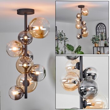 Chehalis Ceiling Light - glass 10 cm, 12 cm, 15 cm Amber, clear, Smoke-coloured, 8-light sources