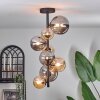 Chehalis Ceiling Light - glass 10 cm, 12 cm, 15 cm Amber, Smoke-coloured, 8-light sources