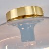 Apedo Ceiling Light - glass 30 cm gold, black, 1-light source