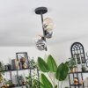 Chehalis Ceiling Light - glass 10 cm, 12 cm Amber, clear, Smoke-coloured, 4-light sources
