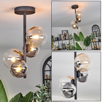 Chehalis Ceiling Light - glass 10 cm, 12 cm Amber, clear, Smoke-coloured, 4-light sources