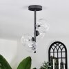 Chehalis Ceiling Light - glass 10 cm, 12 cm clear, 4-light sources