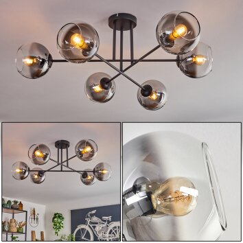 Koyoto Ceiling Light - glass 15 cm clear, Smoke-coloured, 6-light sources