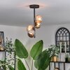 Chehalis Ceiling Light - glass 10 cm Amber, Smoke-coloured, 4-light sources