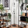 Remaisnil Floor Lamp - glass 10 cm, 12 cm white, 6-light sources