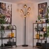 Ripoll Floor Lamp - glass 15 cm Amber, 5-light sources
