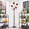 Ripoll Floor Lamp - glass 15 cm coppery, 5-light sources