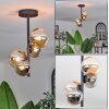 Chehalis Ceiling Light - glass 10 cm, 12cm Amber, Smoke-coloured, 4-light sources