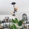 Chehalis Ceiling Light - glass 10 cm, 12cm Amber, Smoke-coloured, 4-light sources