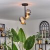 Chehalis Ceiling Light - glass 10 cm, 12cm Amber, Smoke-coloured, 4-light sources