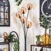 Gastor Floor Lamp - glass 15 cm Amber, 5-light sources