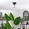 Apedo Ceiling Light - glass 20 cm clear, 1-light source
