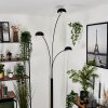 Nikkala Floor Lamp black, 3-light sources