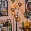 Gastor Floor Lamp - glass 15 cm Amber, Smoke-coloured, 6-light sources