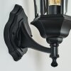 Etoe Outdoor Wall Light black, 1-light source