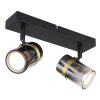 Globo TRABBY Ceiling Light black, 2-light sources