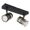 Globo TRABBY Ceiling Light black, 2-light sources
