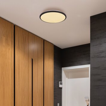 Globo XANDER Ceiling Light LED black, white, 1-light source